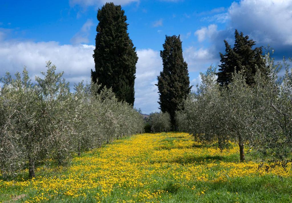 Locanda Ilune Pitigliano Eksteriør bilde