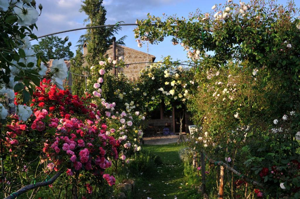 Locanda Ilune Pitigliano Eksteriør bilde