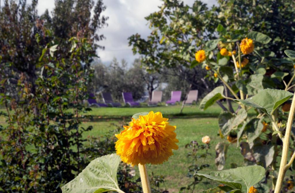 Locanda Ilune Pitigliano Eksteriør bilde