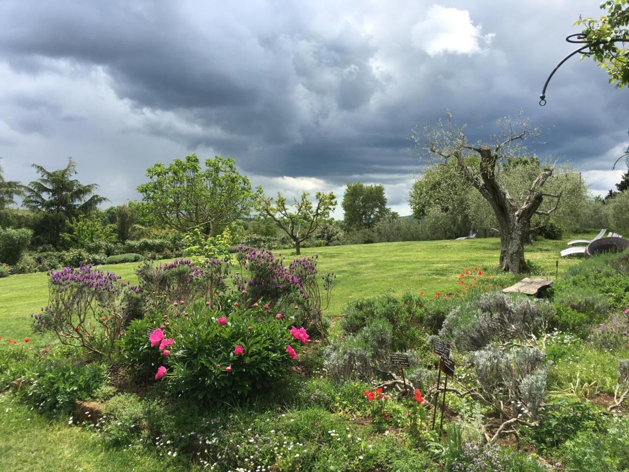 Locanda Ilune Pitigliano Eksteriør bilde