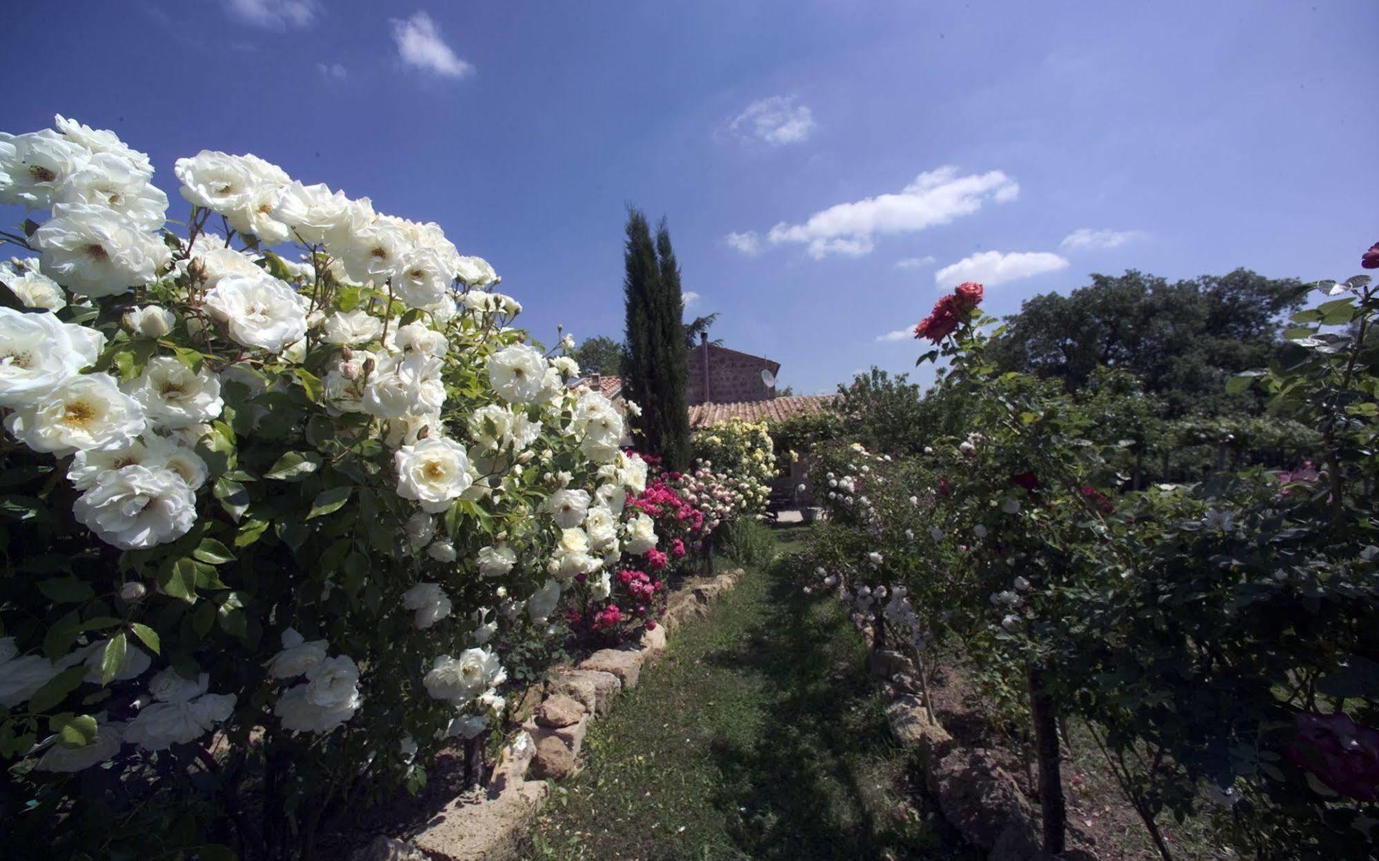 Locanda Ilune Pitigliano Eksteriør bilde